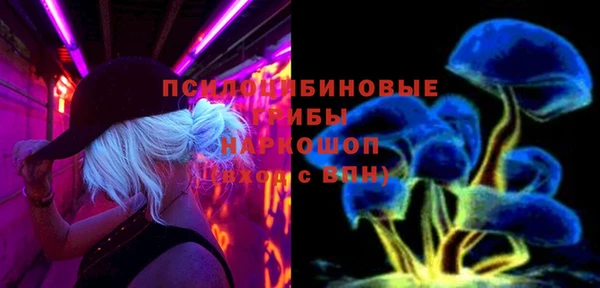 прущие крисы Мегион