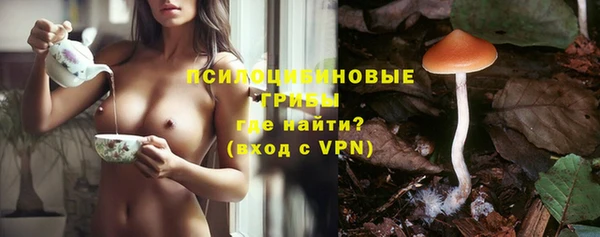 меф Снежинск