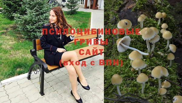 мдма Медвежьегорск