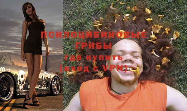 не бодяженный Михайловск