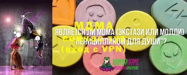 гашик Тында