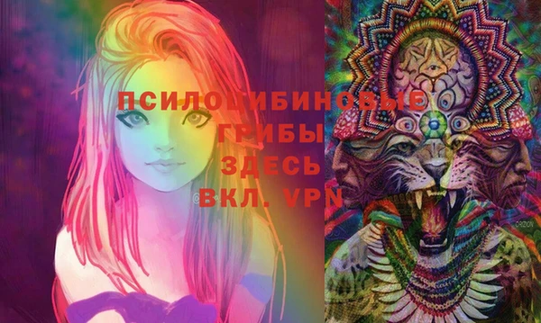 прущий лед Снежногорск
