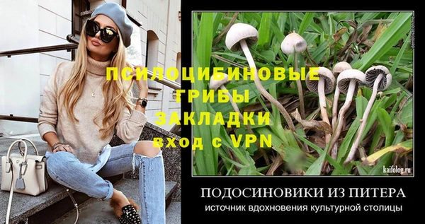 мдма Медвежьегорск