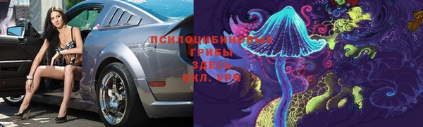 мдма Медвежьегорск